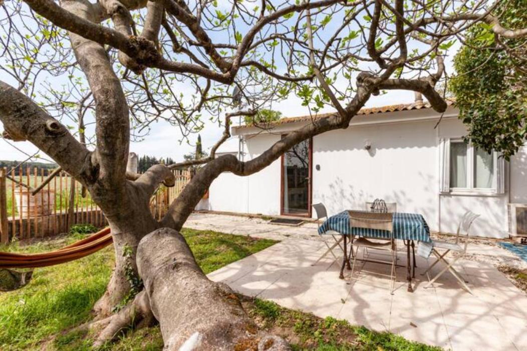 님 Casa Cote Sud - Mas Bois Fontaine 빌라 외부 사진